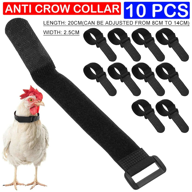 10x Roosters Cockerel No Crow Noise Anti Crow Collar Neck Belt Nylon