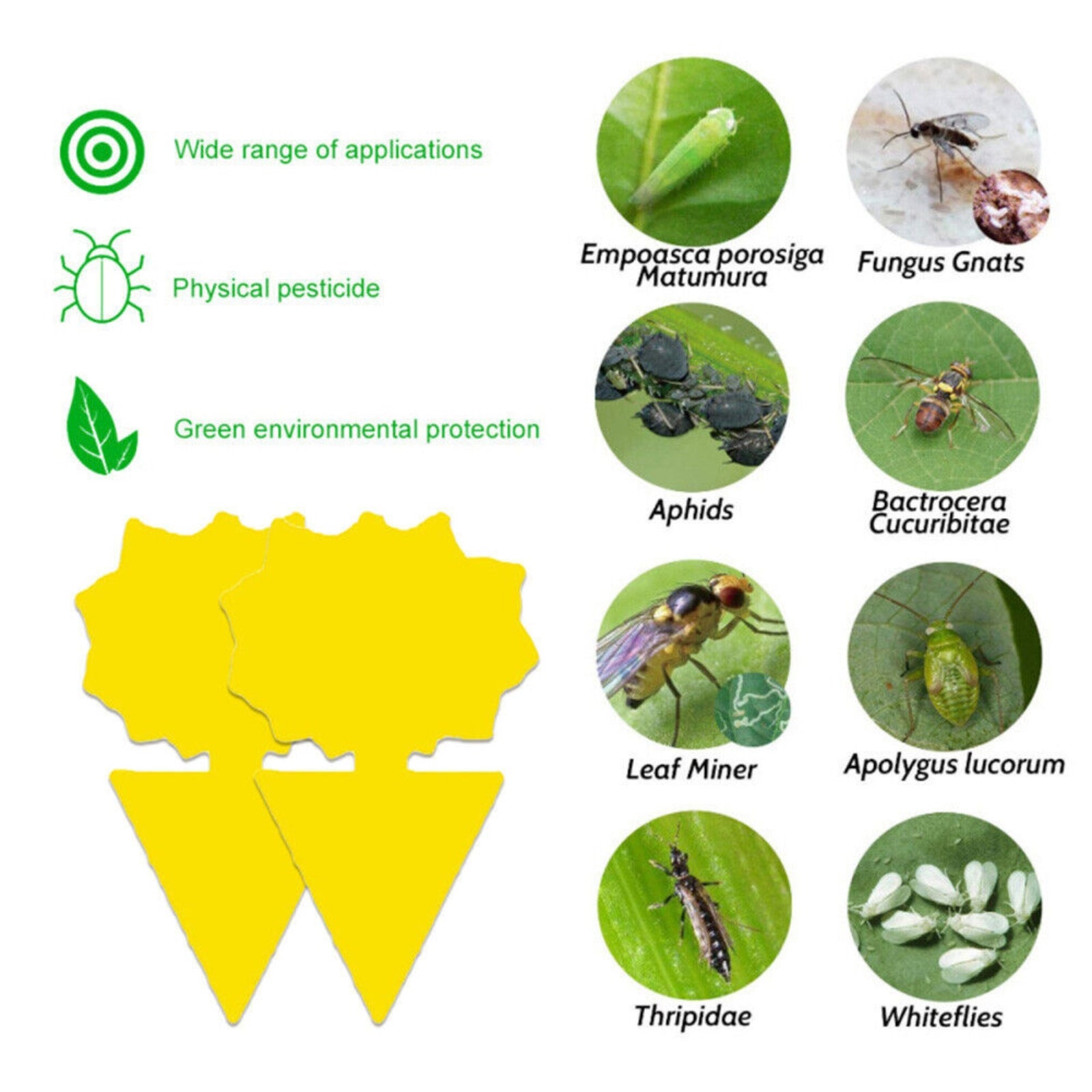 100pcs Sunflower Insect Killer Whitefly Thrip Fruit Fly Dual Sided Sticky Trap