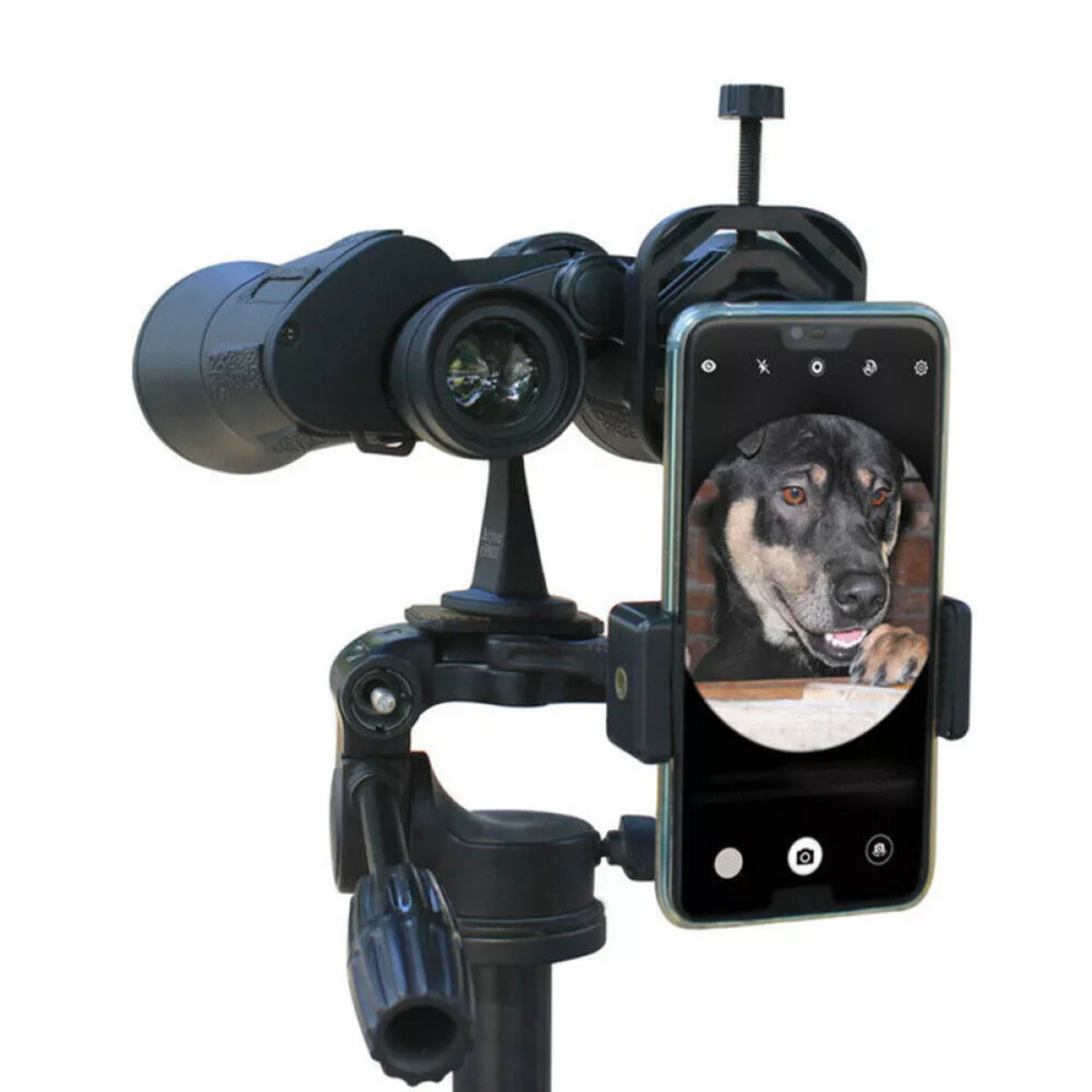 Binocular Mount Holder for Microscope Telescope Phone Adapter Smartphone Scope
