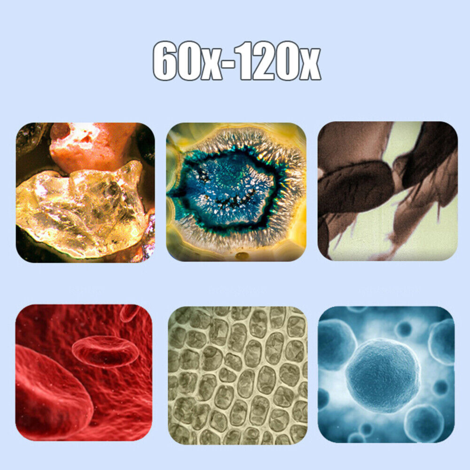 60X-120X Handheld Magnification LensLED Lighted Kids Pocket Microscope Blue