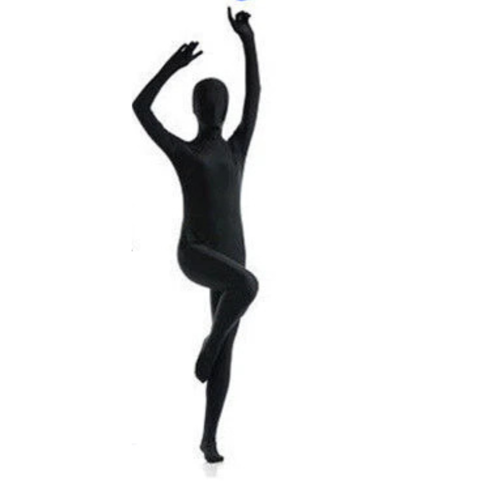 Parties Adult Spandex Costume Black Full Stretch Body