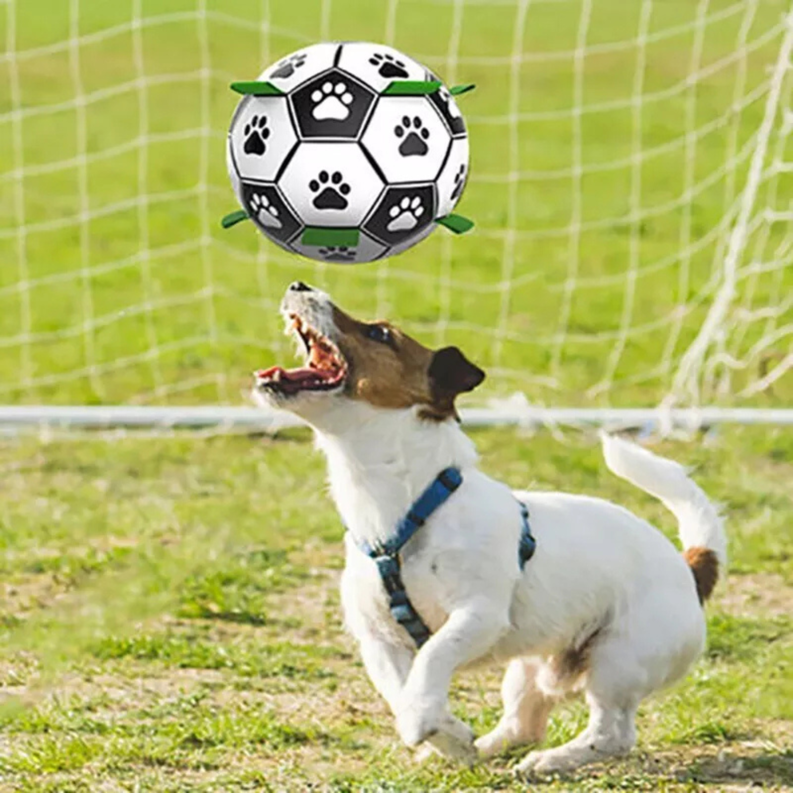 Outdoor Tabs Tug Water Dog Ball Interactive Soccer Toys Pet Football