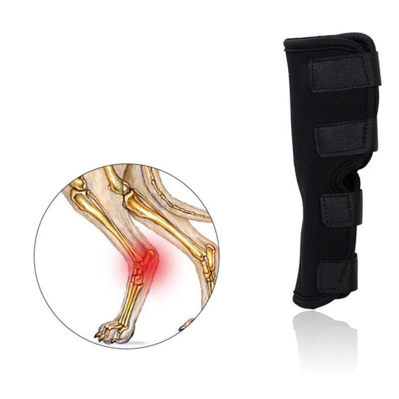 Back Protector Compression Dog Knee Support Brace Leg Hock Front M
