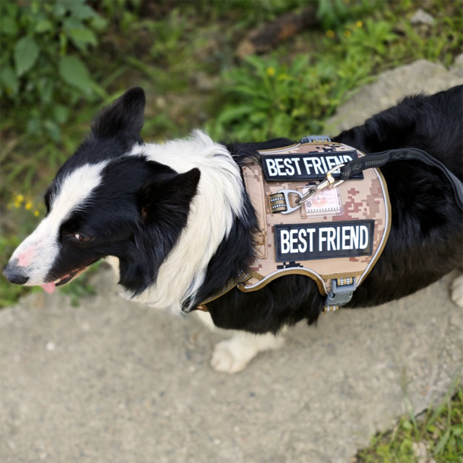 Training Vest Military Adjustable Pet Dog Harness Tactical No Pul Medium