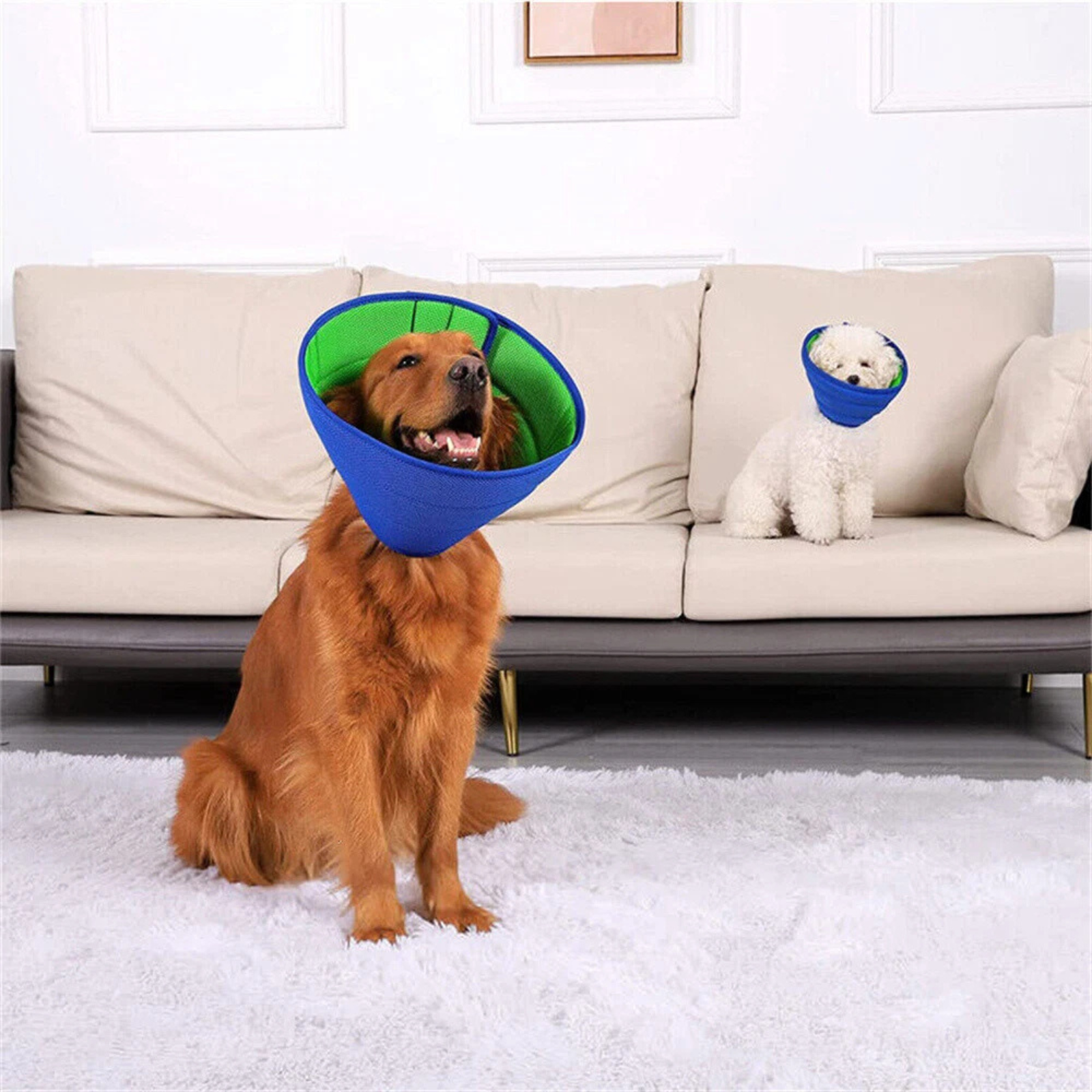 Pet Dog Cat Elizabethan Recovery Cone Collar Adjustable M 30-35cm