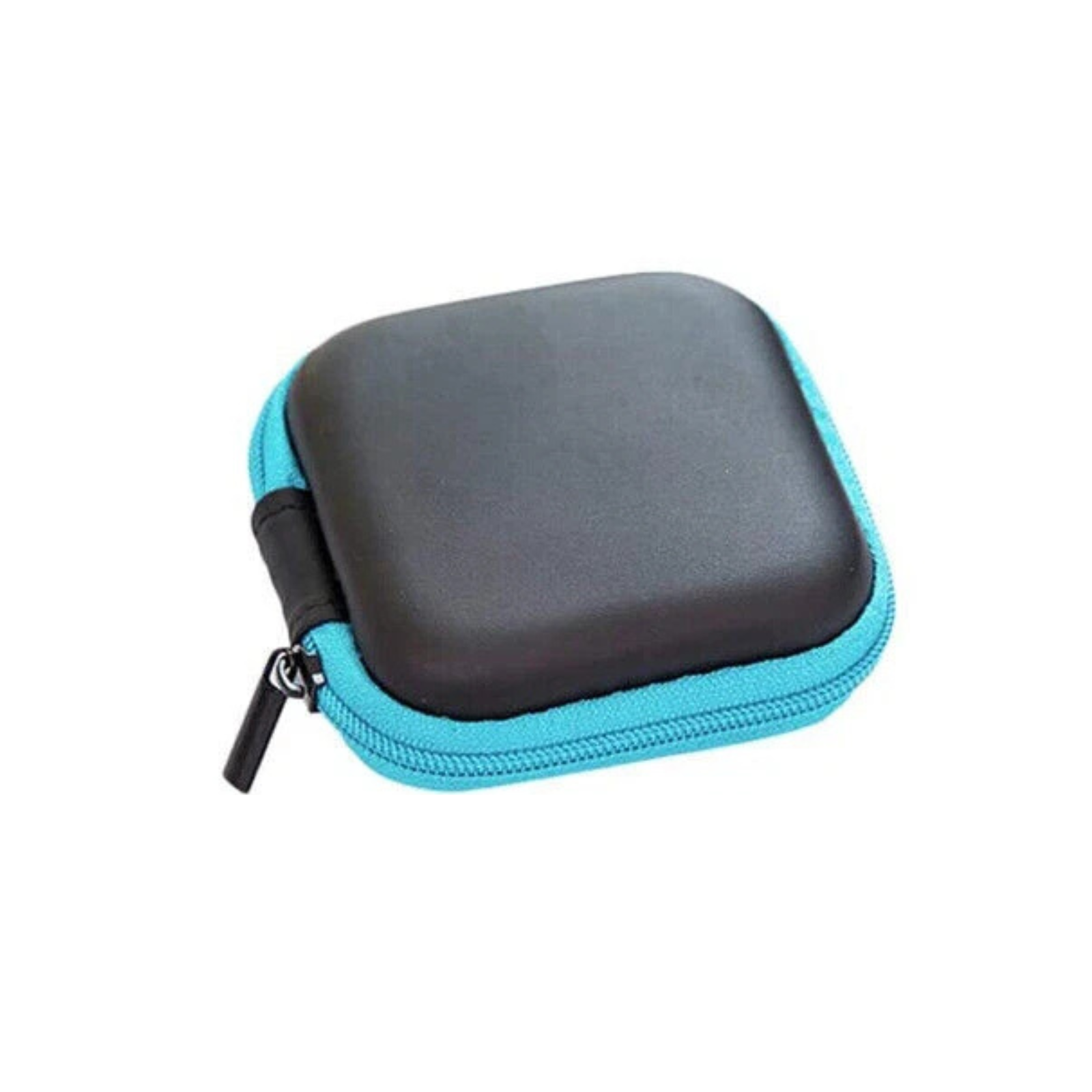 Portable Hard Case Pouch Travel Storage Bag Organiser Blue