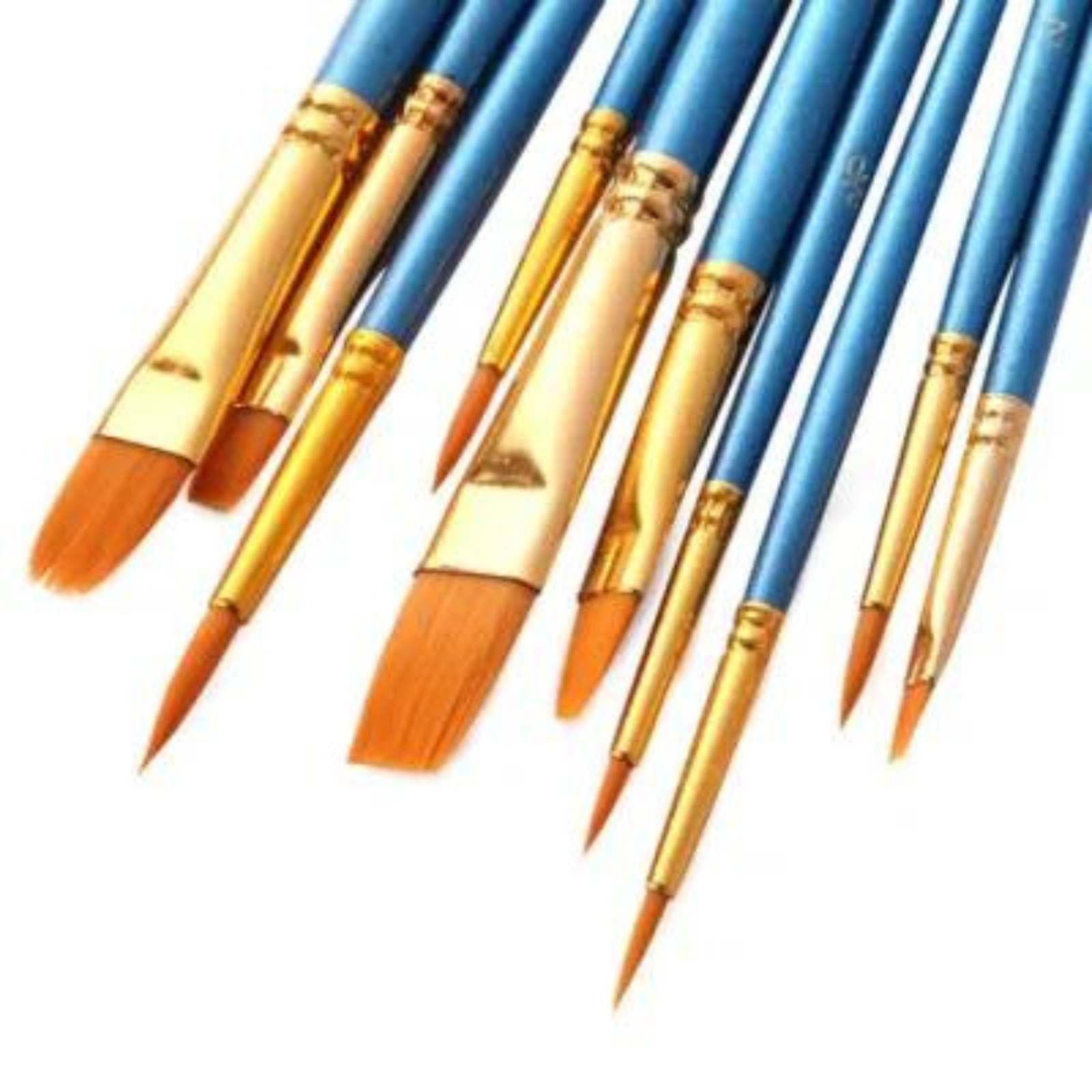 Acrylic Oil Watercolour Kit Blue Paint Brushes Set 10pcs Artist Paint
