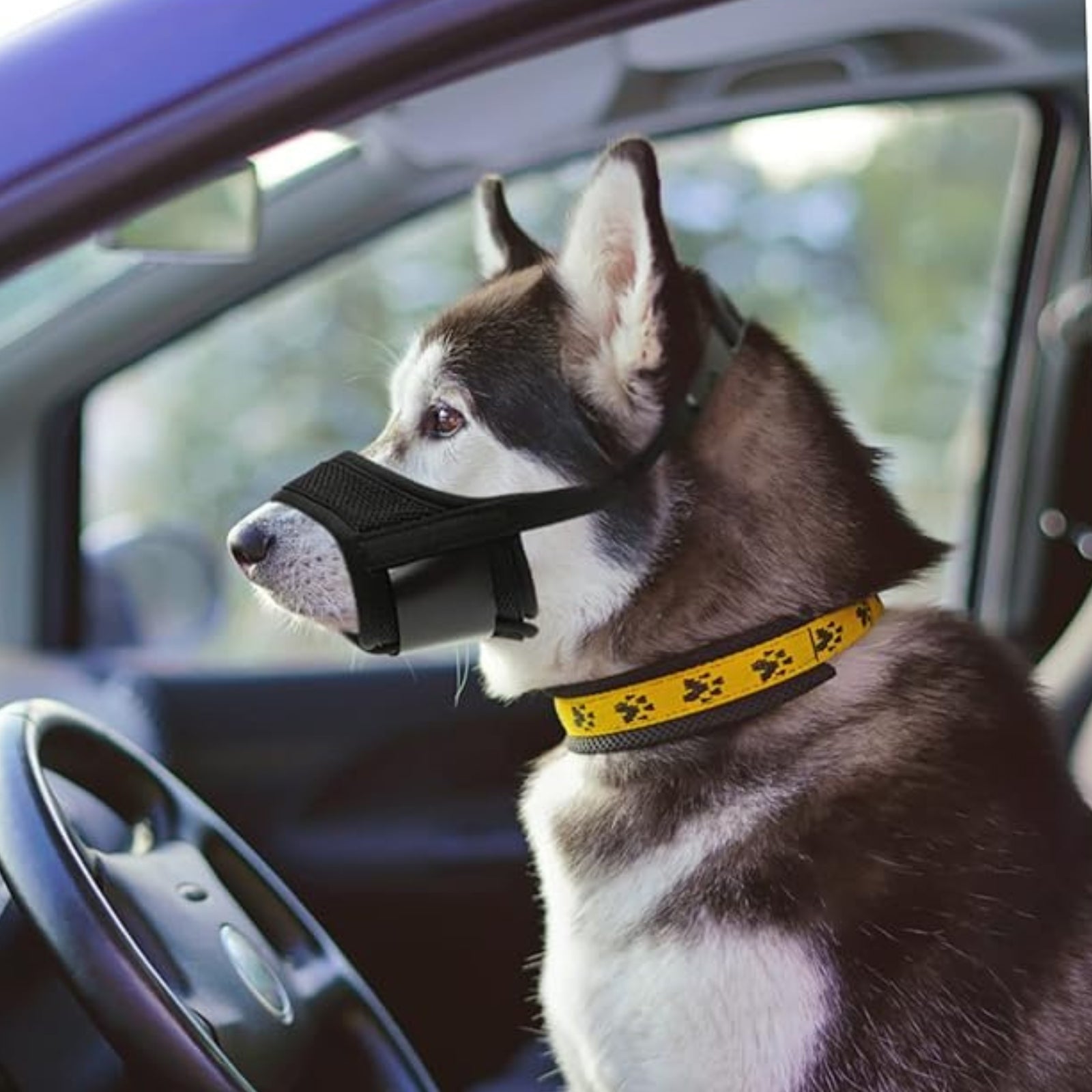 Black Adjustable Pet Dog Mask Stop Bark Bite Mesh Muzzle Grooming Chewing Medium