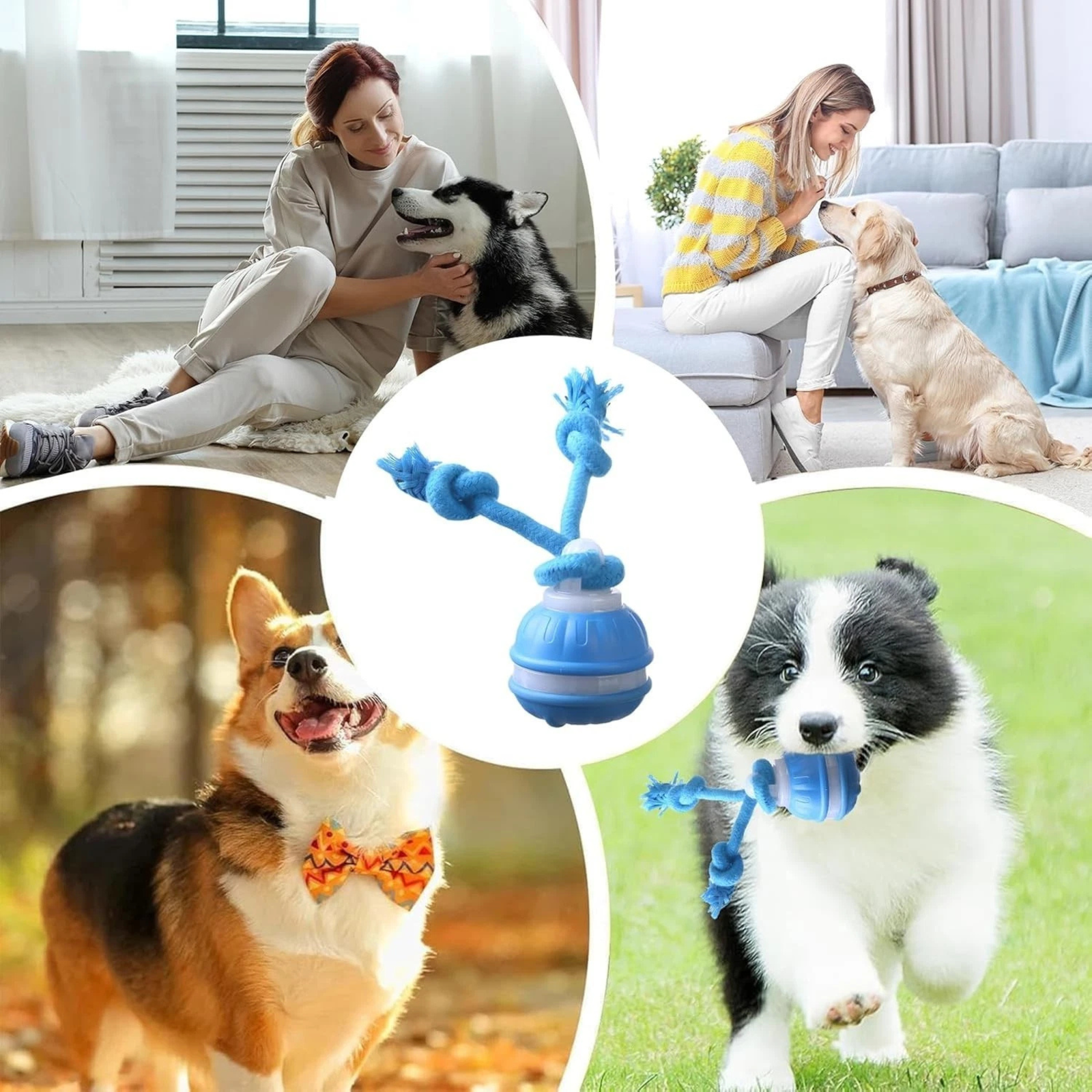 Blue Chase Buddy Dog Toy Barking Play Action Reduces Boredom And Boosts Fun