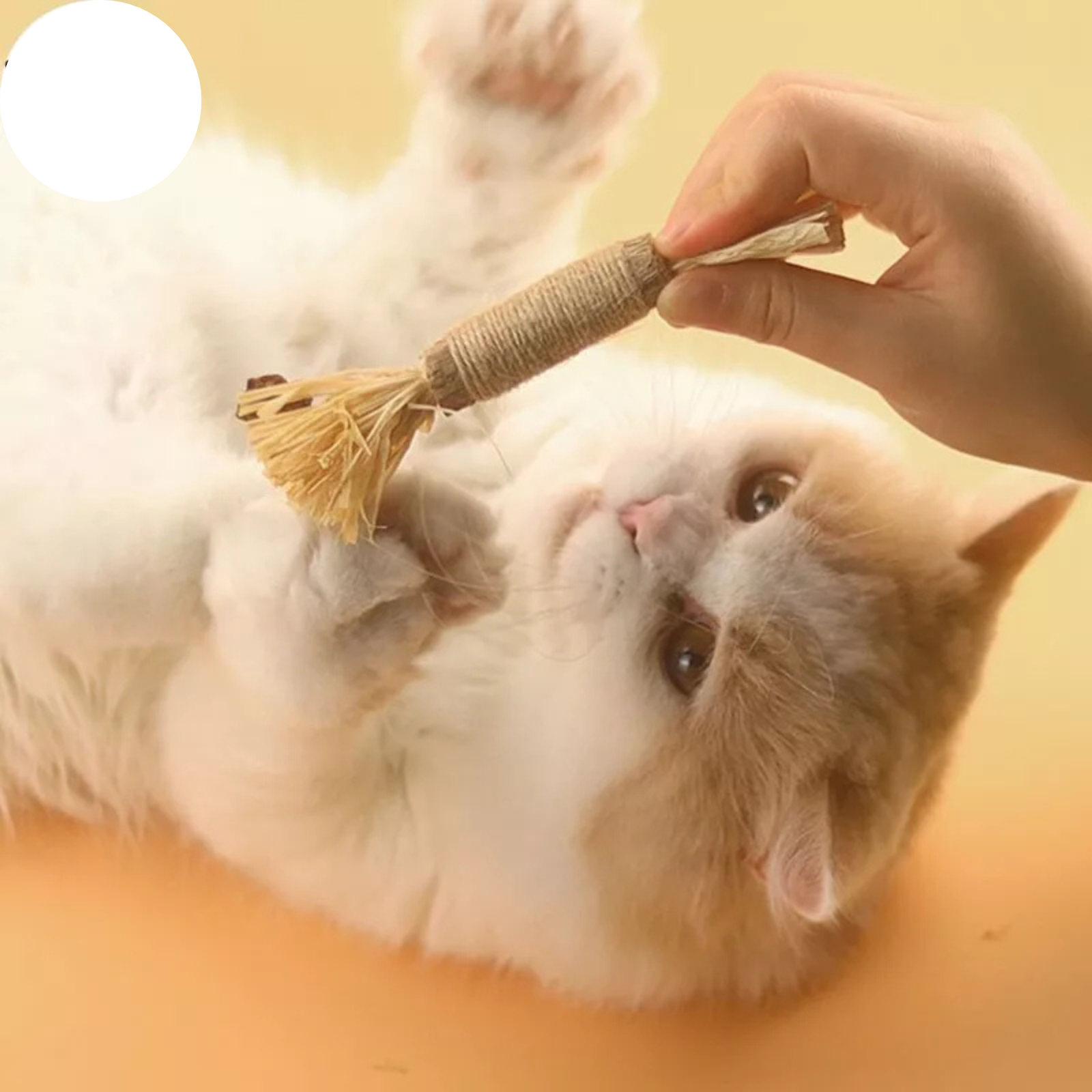 Cleaning Teeth Toys Kitten Treat Catnip Cat Toys Silvervine Chew Stick 1x