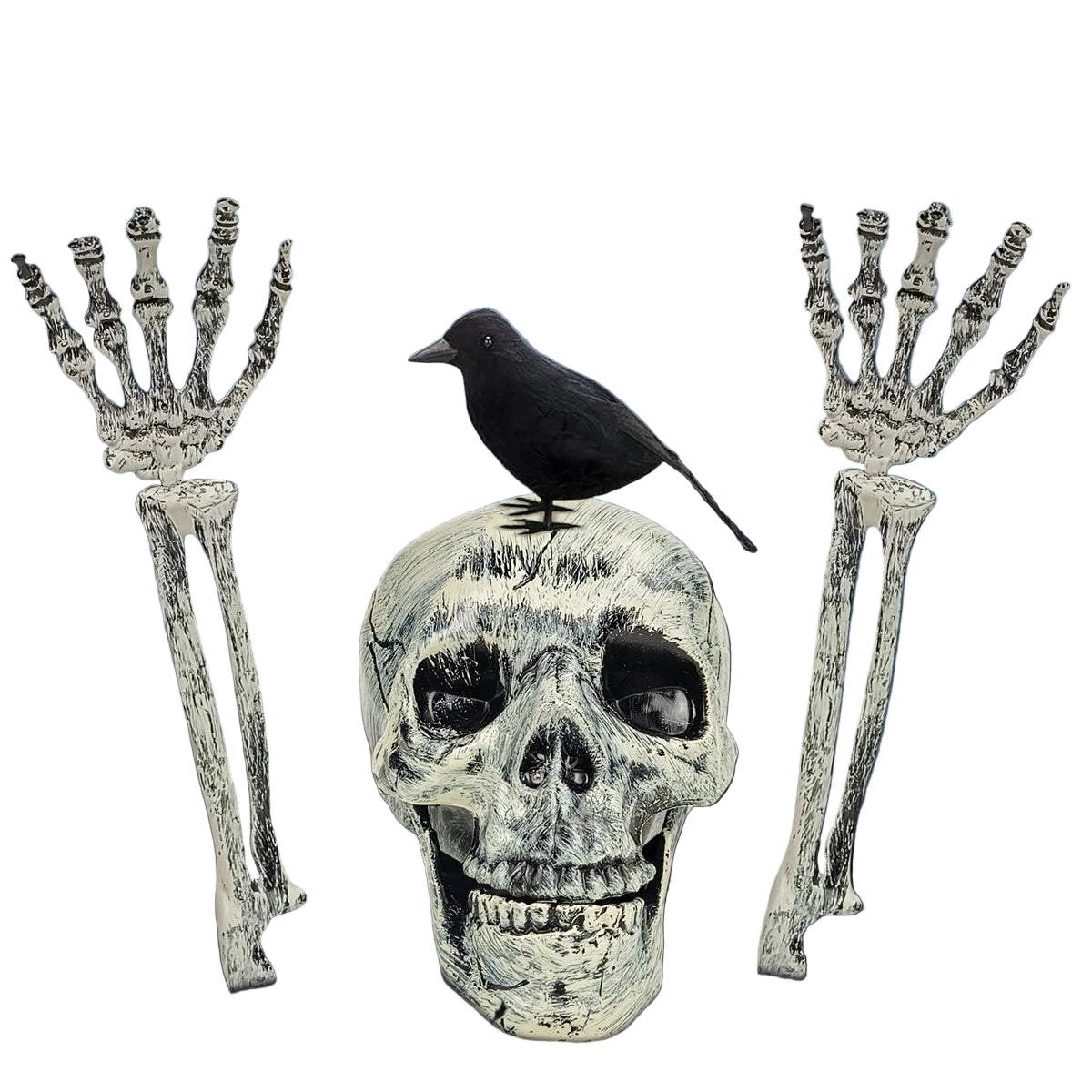 Realistic Halloween Horror Decor Crow Skull 2 Arm Bones Skeleton Decoration