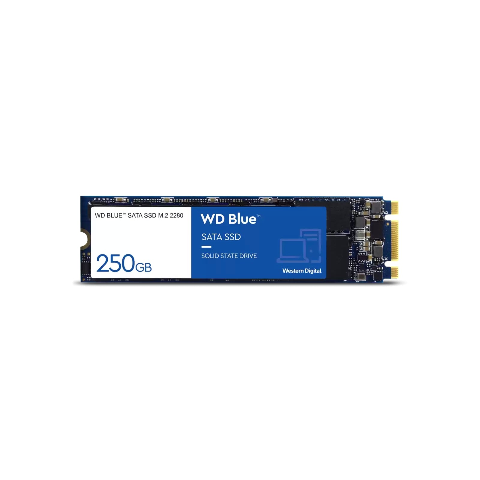 WD Blue 250GB 500GB 1TB SSD 3D Nand M.2 SATA 550MB/S Internal Solid State Drive