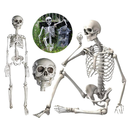 Full Body Model Halloween 90cm Human Skeleton Skull Medical Party House Props
