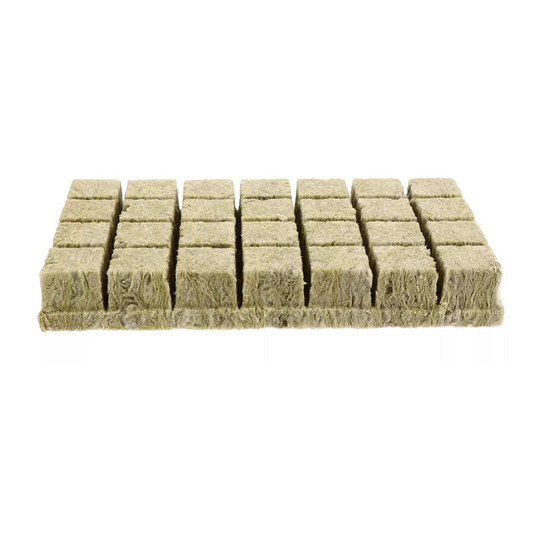 Planting Cloning Propagation Plug Hydroponic Grow Starter Rockwool Cubes 50x