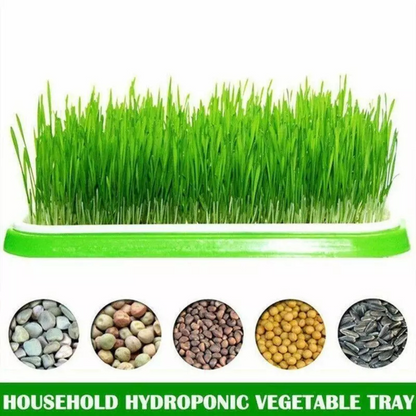 Germination Bean Sprout Planting Microgreens tray, Seeding Cloning Hydroponic