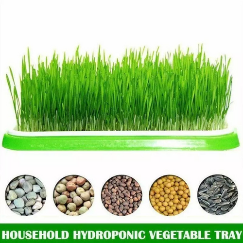 Germination Bean Sprout Planting Microgreens tray, Seeding Cloning Hydroponic