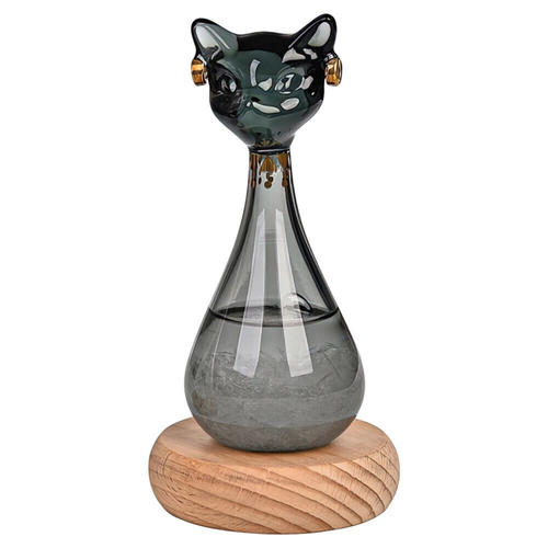 Cat Shape Storm Glass Weather Forecaster Water Level Thermometer Black