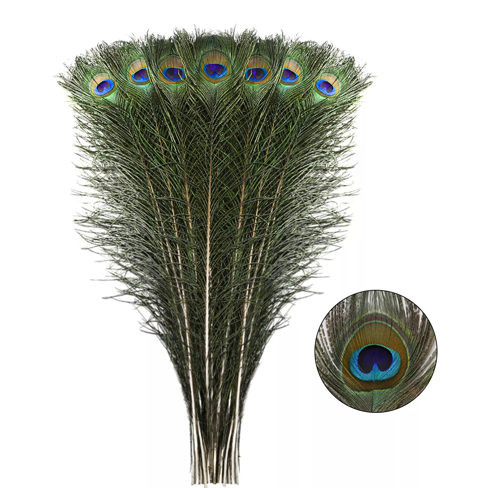 10x Vase Decor Vase Eyes Feathers 25-30cm DIY Natural Peacock Tail