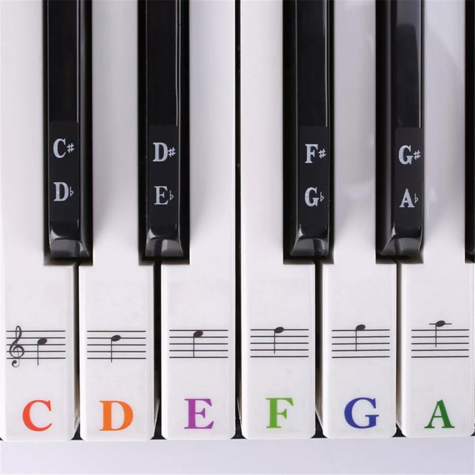 Key Note 37/49/54/61/88 Keyboard Sticker 5 in1 Universal Piano Learner Music