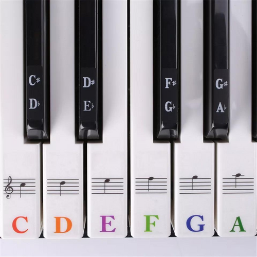 Key Note 37/49/54/61/88 Keyboard Sticker 5 in1 Universal Piano Learner Music