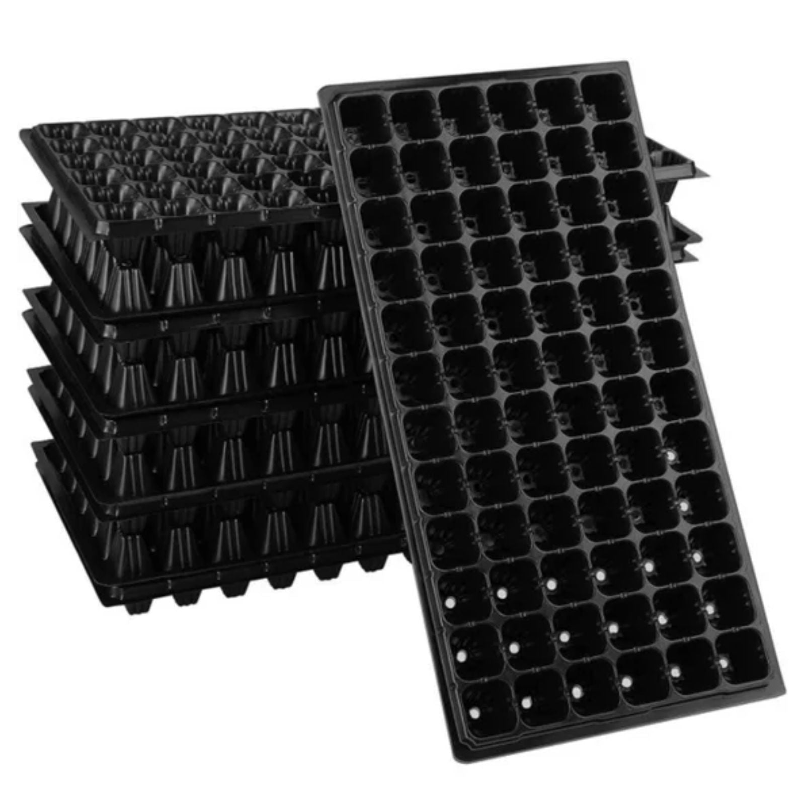 12x 72 Hole Insert Propagation Nursery Seedling Plant Seed Starter Box