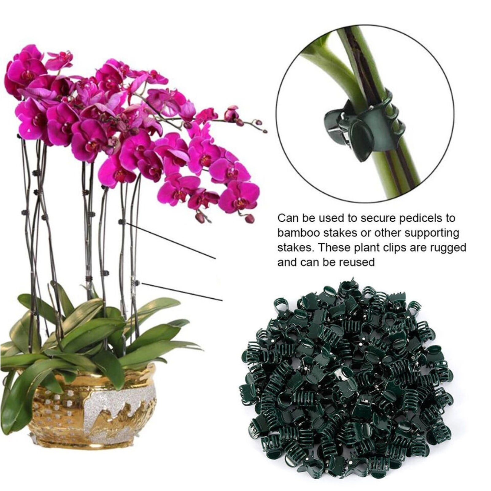 100pcs Vegetable Garden Flower Orchid Plant Plastic Support Clips Stake Holding