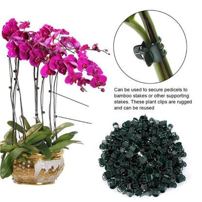 100pcs Vegetable Garden Flower Orchid Plant Plastic Support Clips Stake Holding