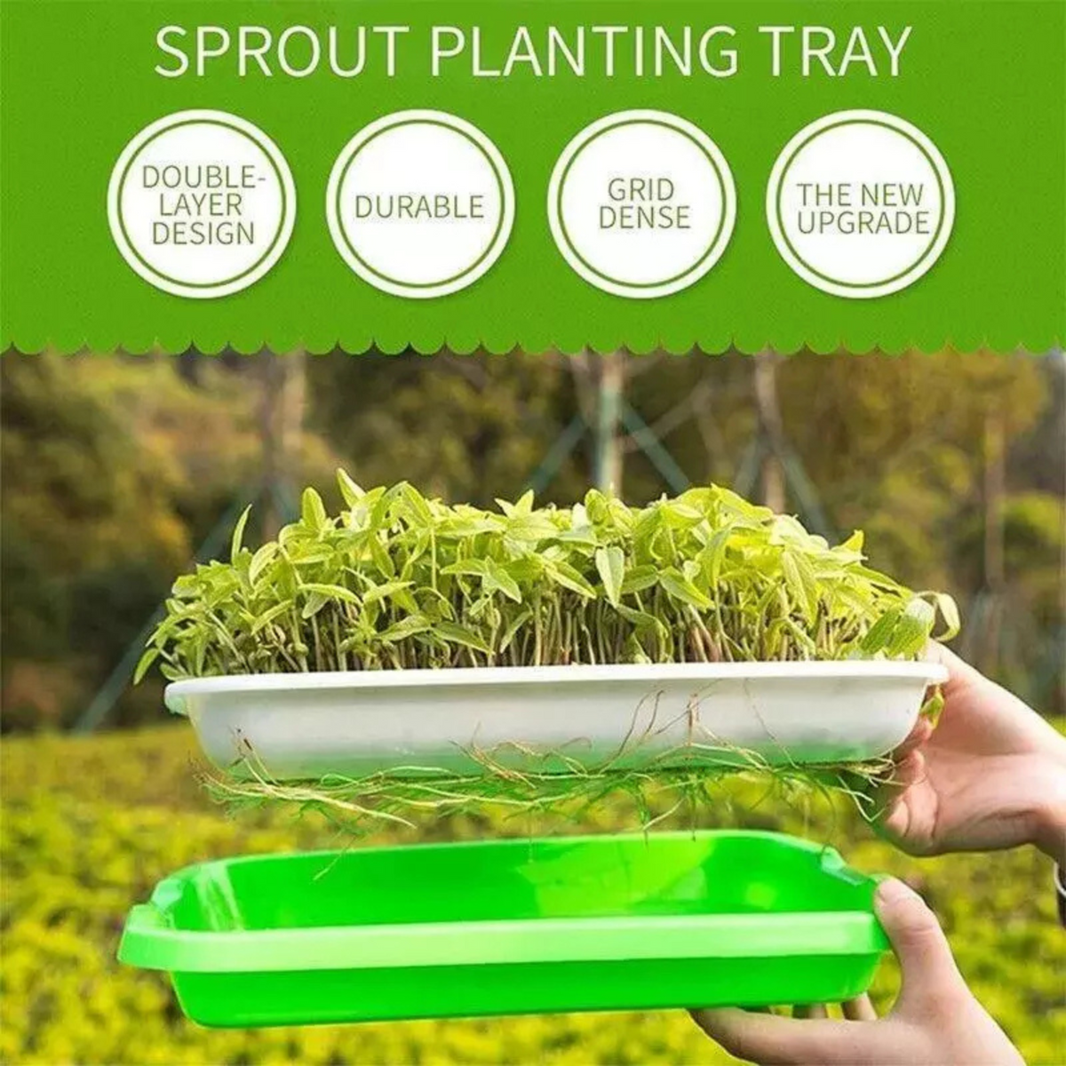 Germination Bean Sprout Planting Microgreens tray, Seeding Cloning Hydroponic