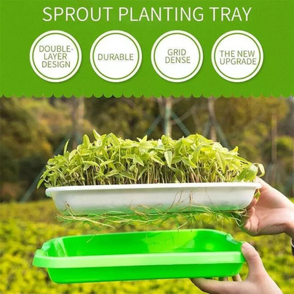 Germination Bean Sprout Planting Microgreens tray, Seeding Cloning Hydroponic