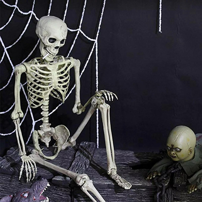 Full Body Model Halloween 90cm Human Skeleton Skull Medical Party House Props