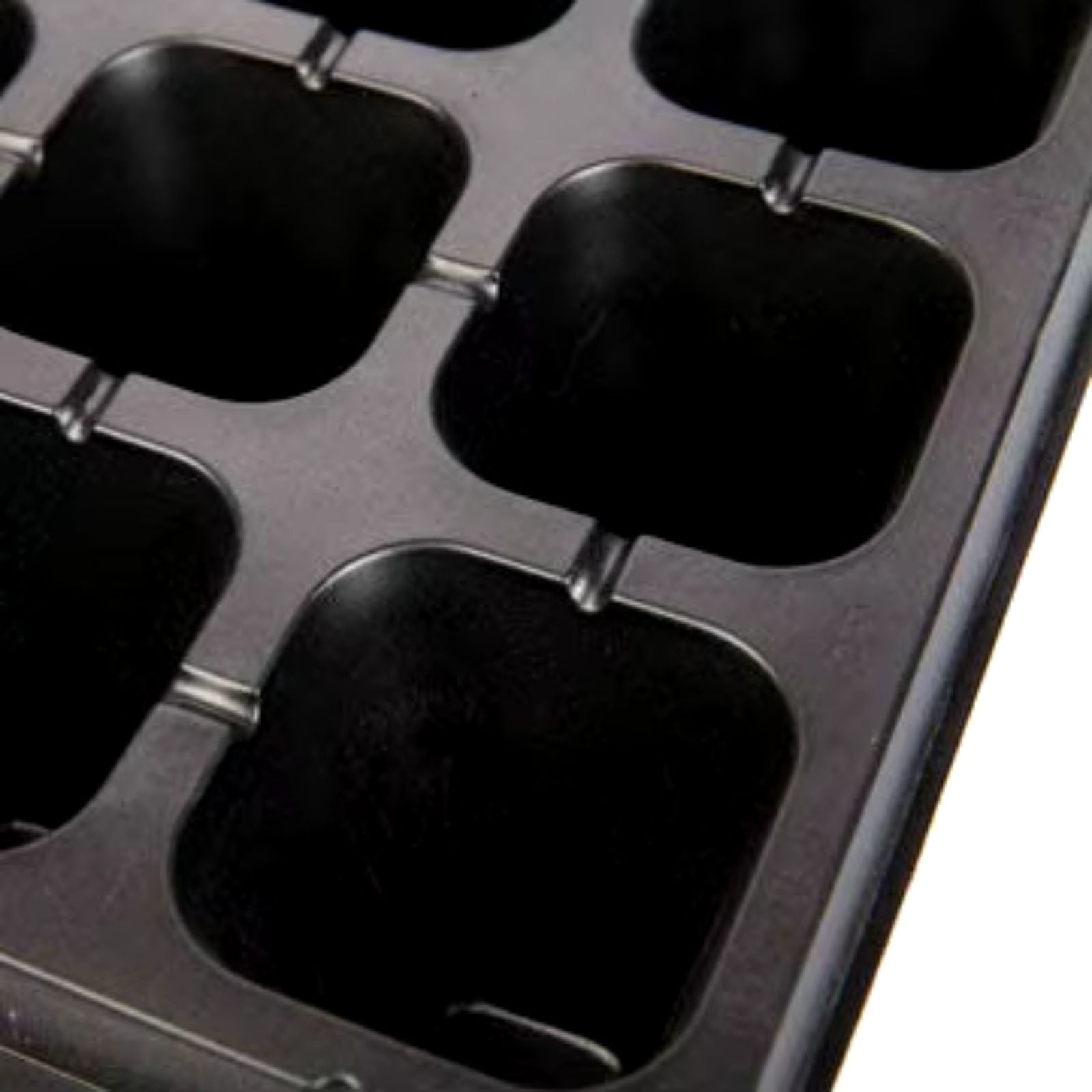 12x 72 Hole Insert Propagation Nursery Seedling Plant Seed Starter Box