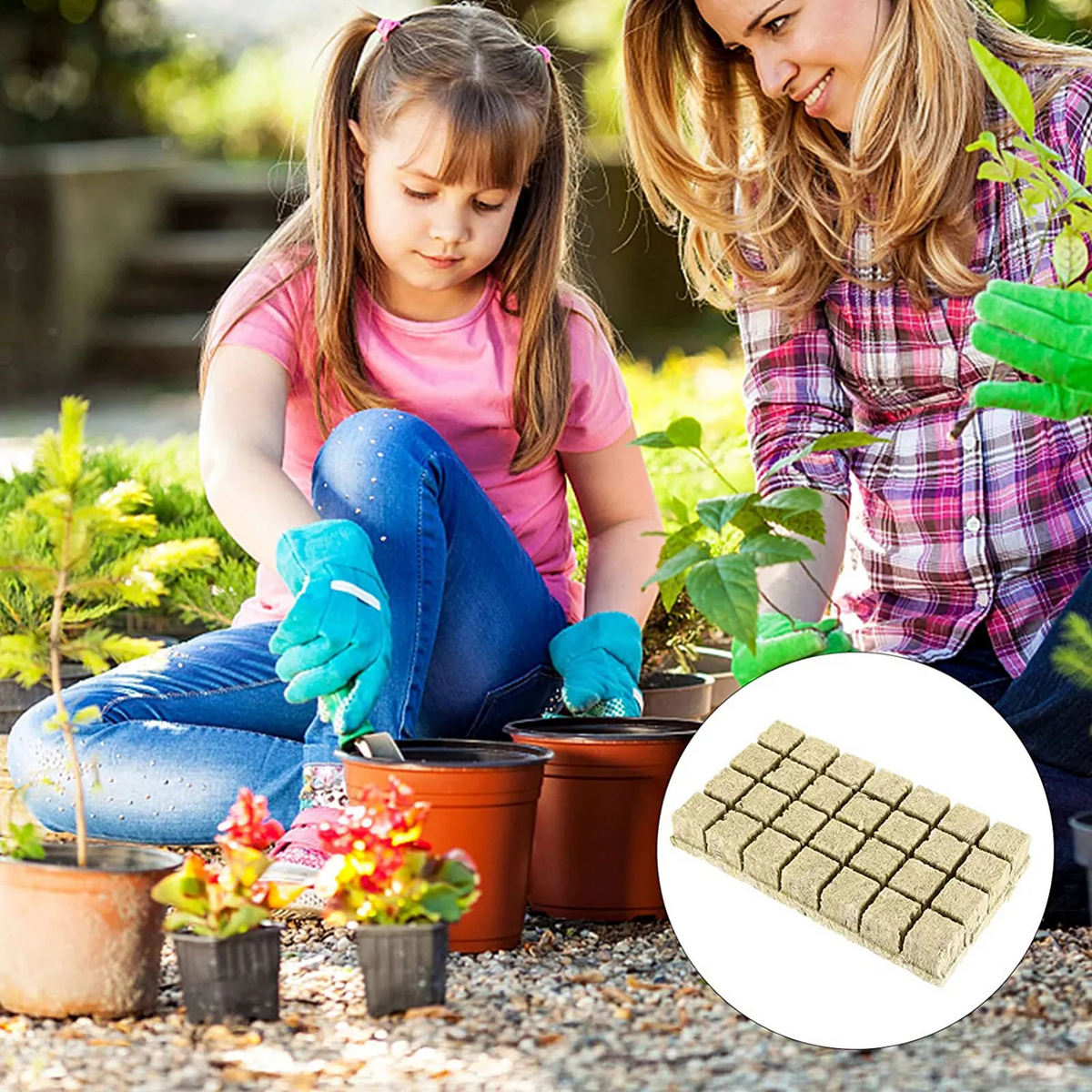 Planting Cloning Propagation Plug Hydroponic Grow Starter Rockwool Cubes 50x