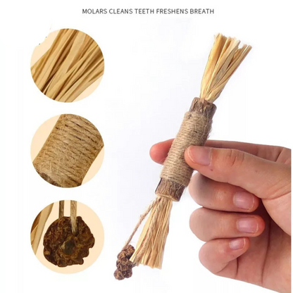 Cleaning Teeth Toys Kitten Treat Catnip Cat Toys Silvervine Chew Stick 1x