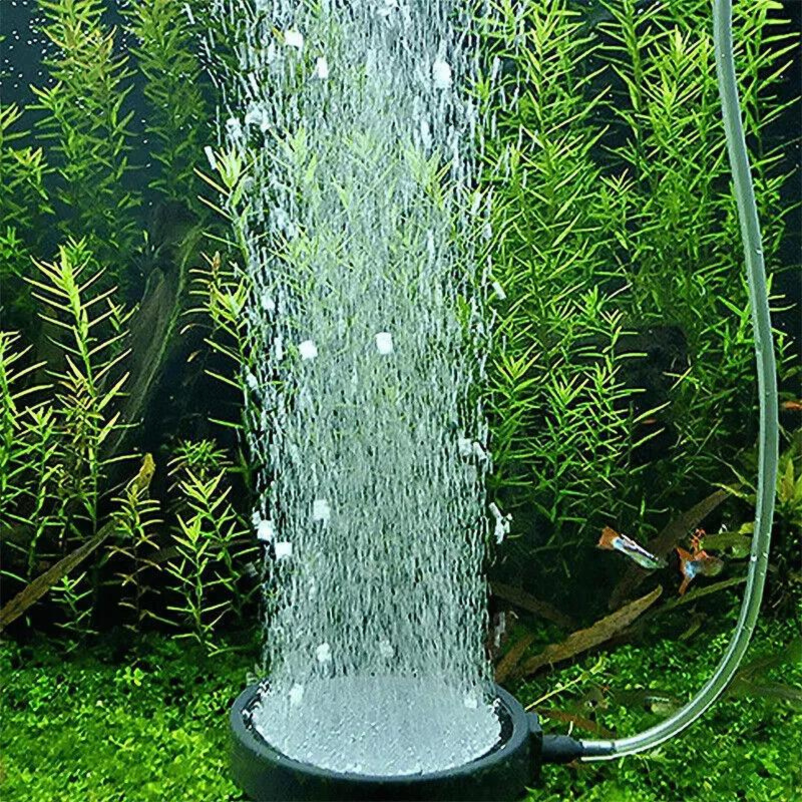 13cm Hydroponics Aquarium Bubble Diffuser Airstone Fish Tank