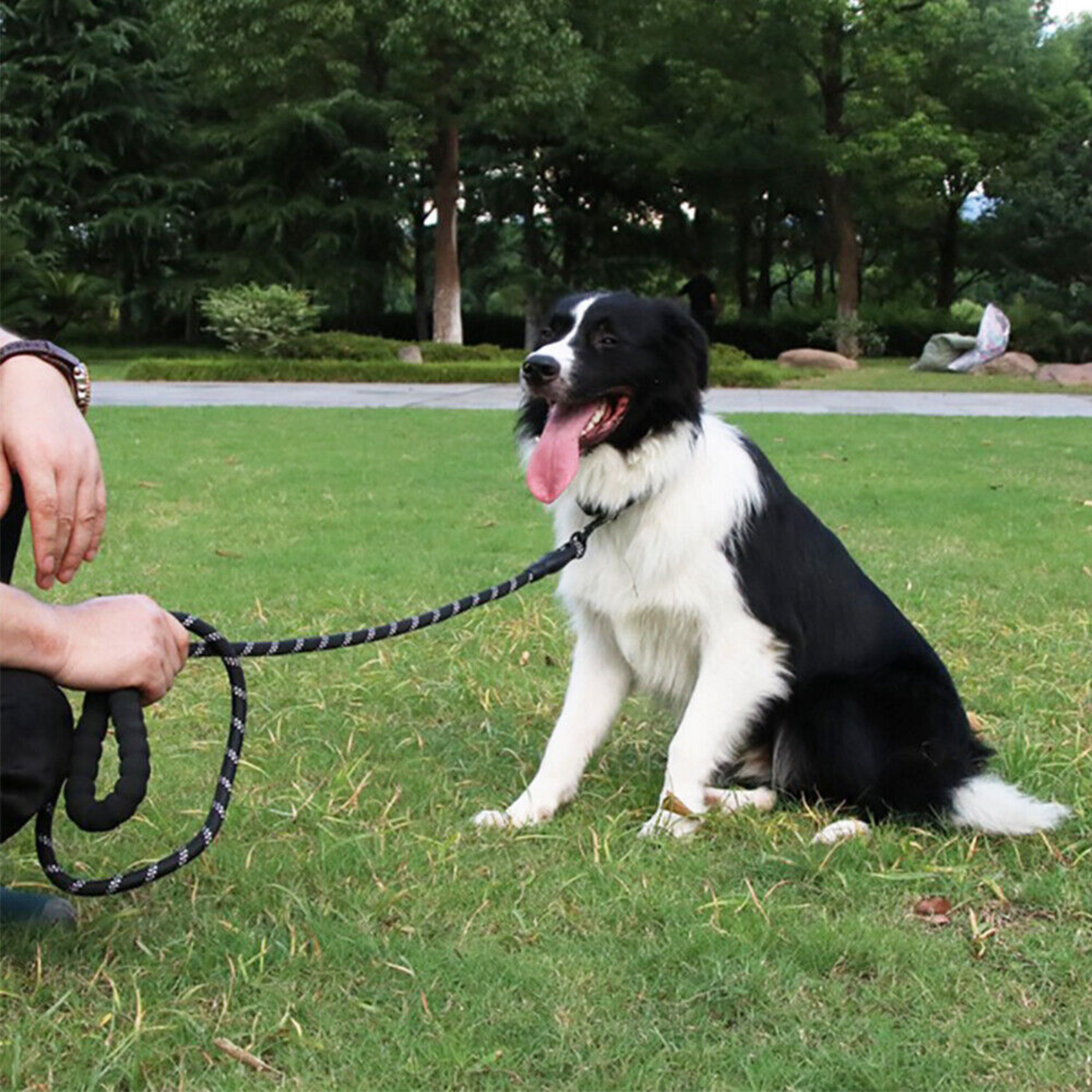 2M Long Heavy Duty Pet Strong Rope Recall Lead Nylon Training Dog Puppy Leash