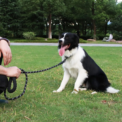 2M Long Heavy Duty Pet Strong Rope Recall Lead Nylon Training Dog Puppy Leash
