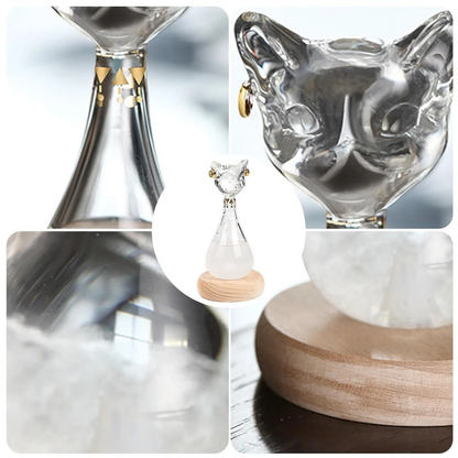 Cat Shape Storm Glass Weather Forecaster Water Level Thermometer Black