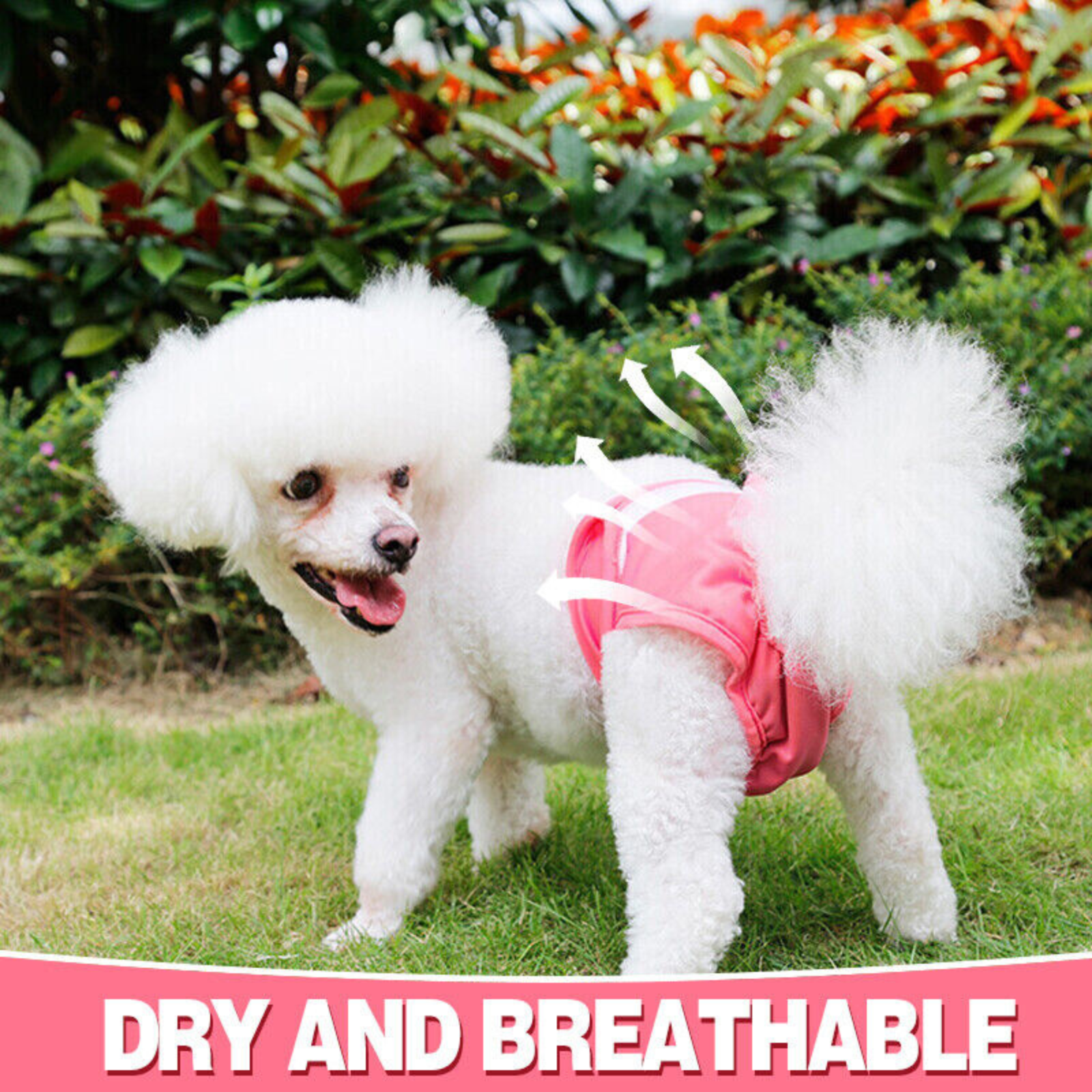 Female Small Underpants  Sanitary Wrap Band Dog Puppy Nappy Diapers Belly Pants