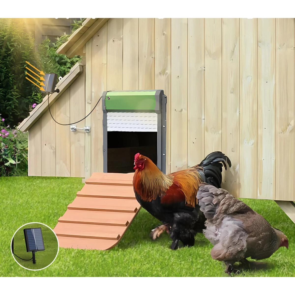Automatic Chicken Coop Door Solar Powered Poultry Farm Hatch