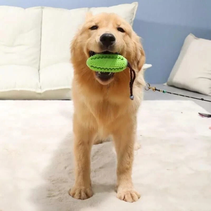 Dog Food Treat Puzzle Ball Puppy Interactive Toy Training Play Ball