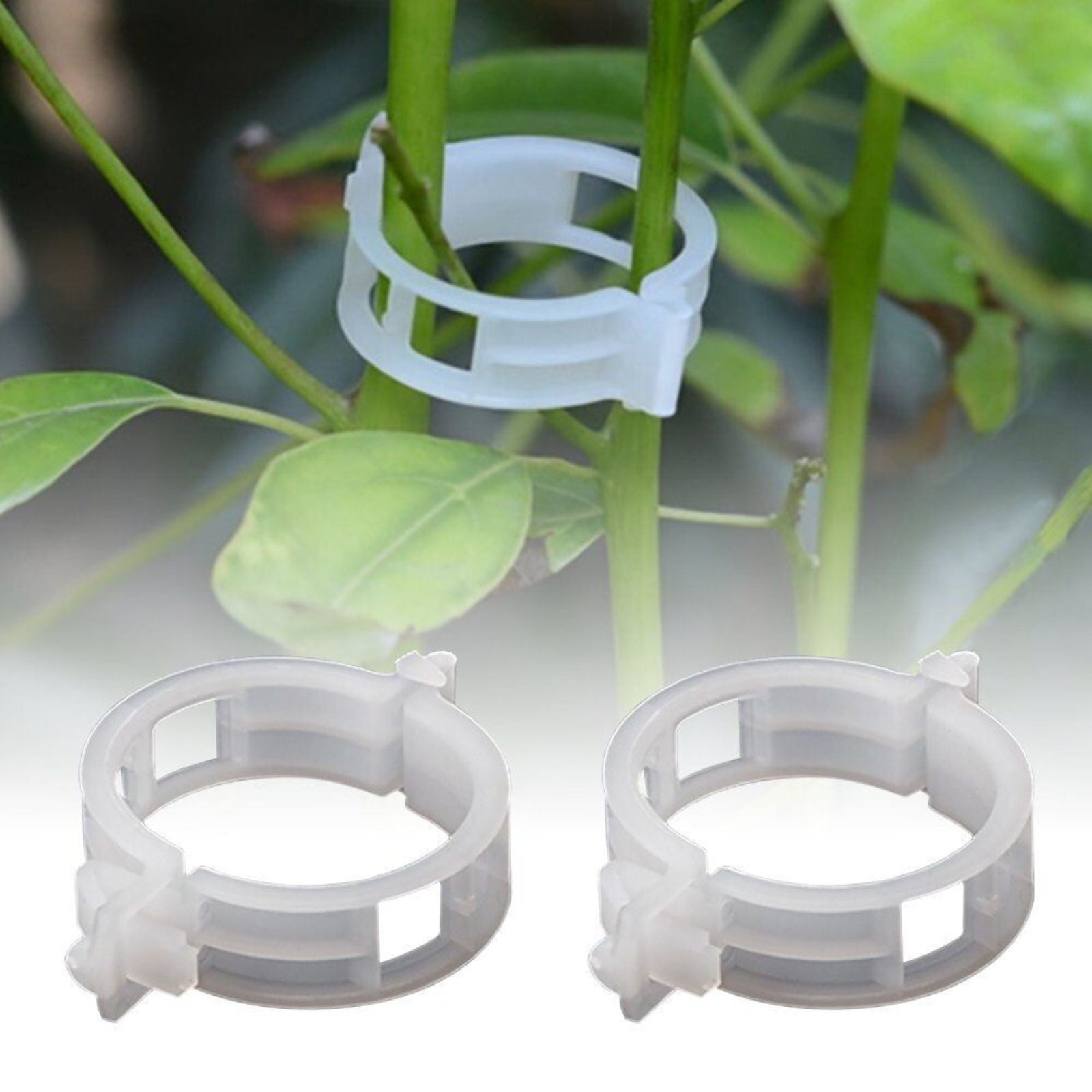 Veggie Plant Support 100pcs Clips Tomato Trellis Twine Greenhouse Garden