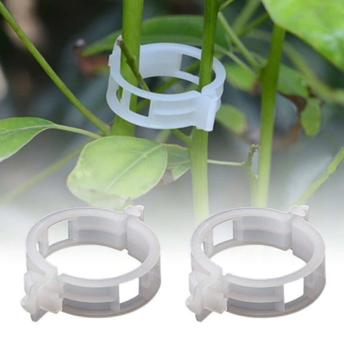 Veggie Plant Support 100pcs Clips Tomato Trellis Twine Greenhouse Garden