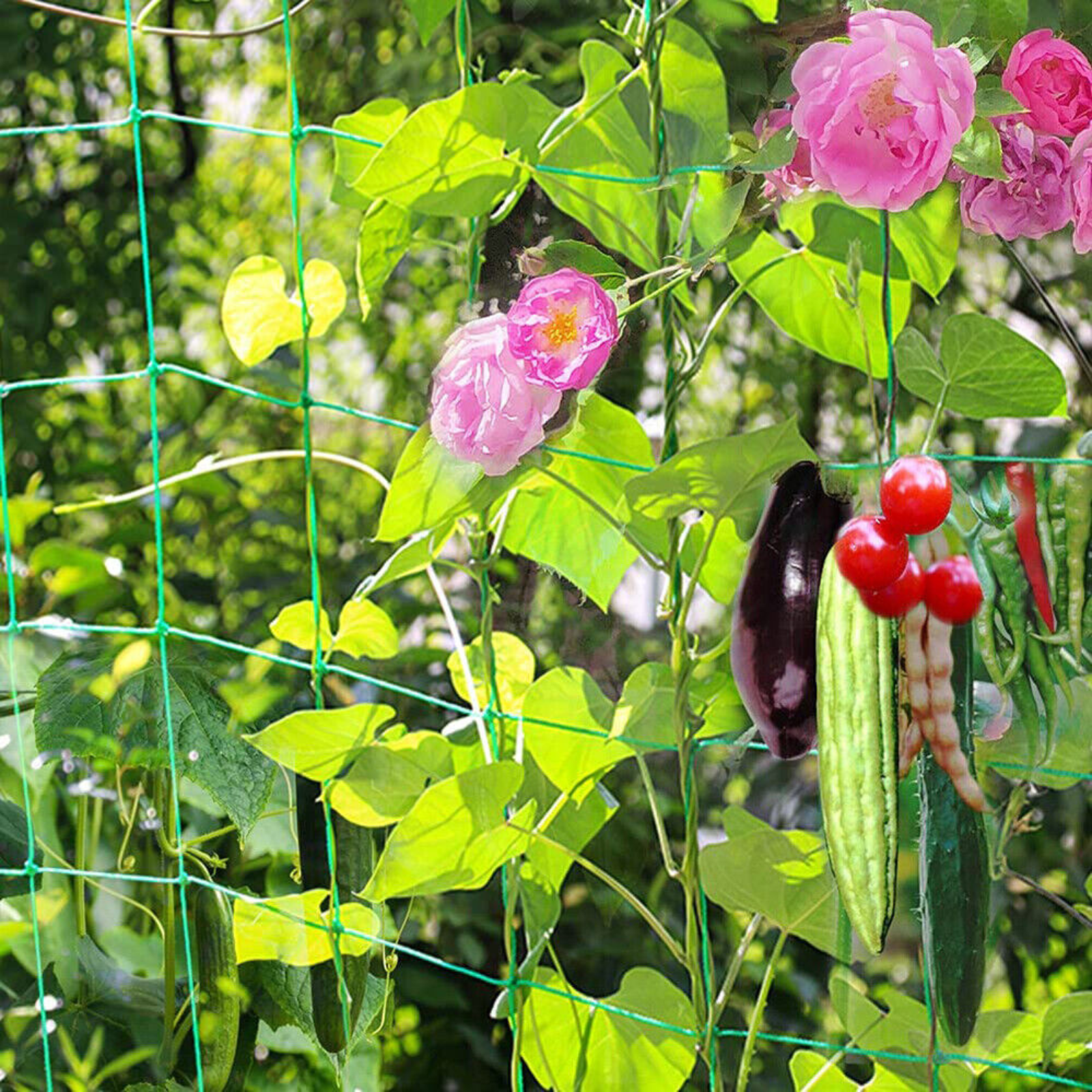 Support Fence Mesh 2x Garden Plant Climbing Net Vegetable Vine Flower Trellis