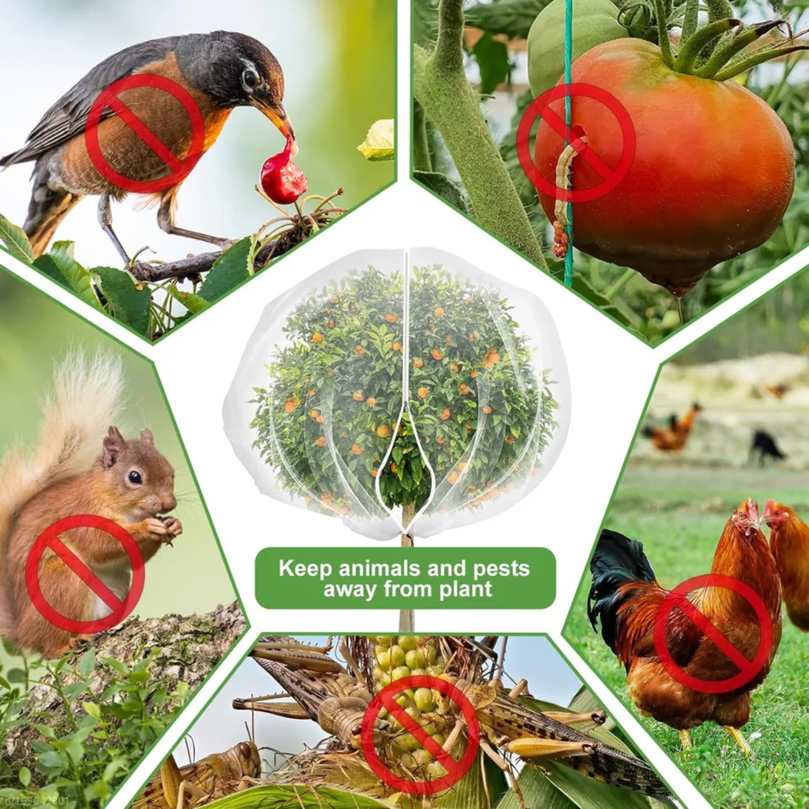 Mesh Cover with Zipper Drawstring Large Fruit Tree Netting Bag Insect-proof 3x3