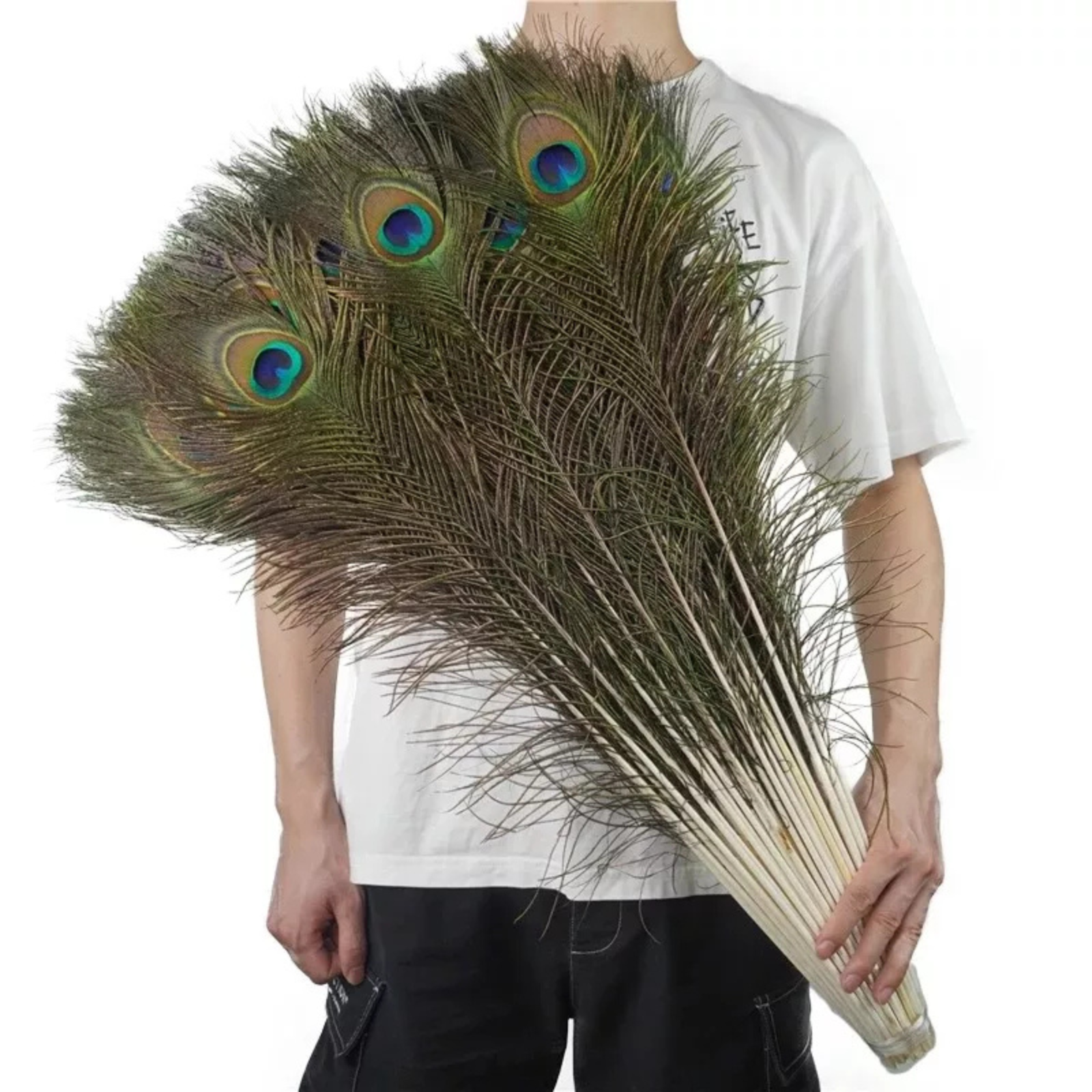 10x Vase Decor Vase Eyes Feathers 25-30cm DIY Natural Peacock Tail