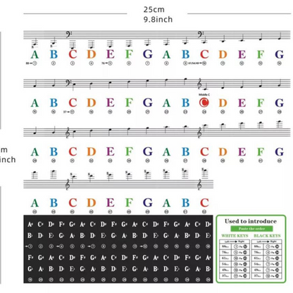 Key Note 37/49/54/61/88 Keyboard Sticker 5 in1 Universal Piano Learner Music