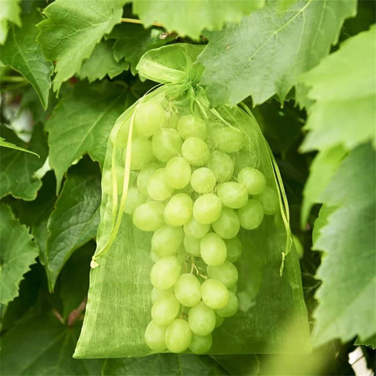10x15cm Vegetable Protection Mesh Insect Proof Fruit Net Bags Agriculture Garden