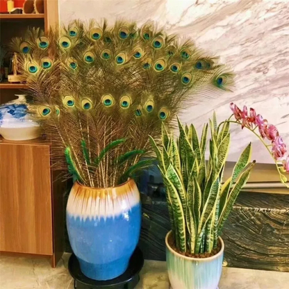 10x Vase Decor Vase Eyes Feathers 25-30cm DIY Natural Peacock Tail