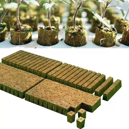 Planting Cloning Propagation Plug Hydroponic Grow Starter Rockwool Cubes 50x