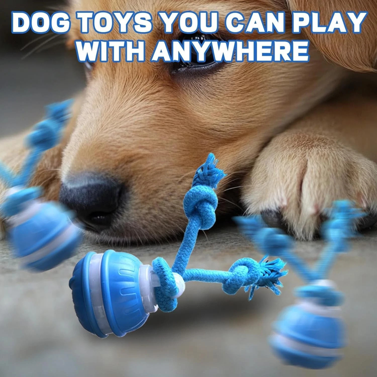 Blue Chase Buddy Dog Toy Barking Play Action Reduces Boredom And Boosts Fun